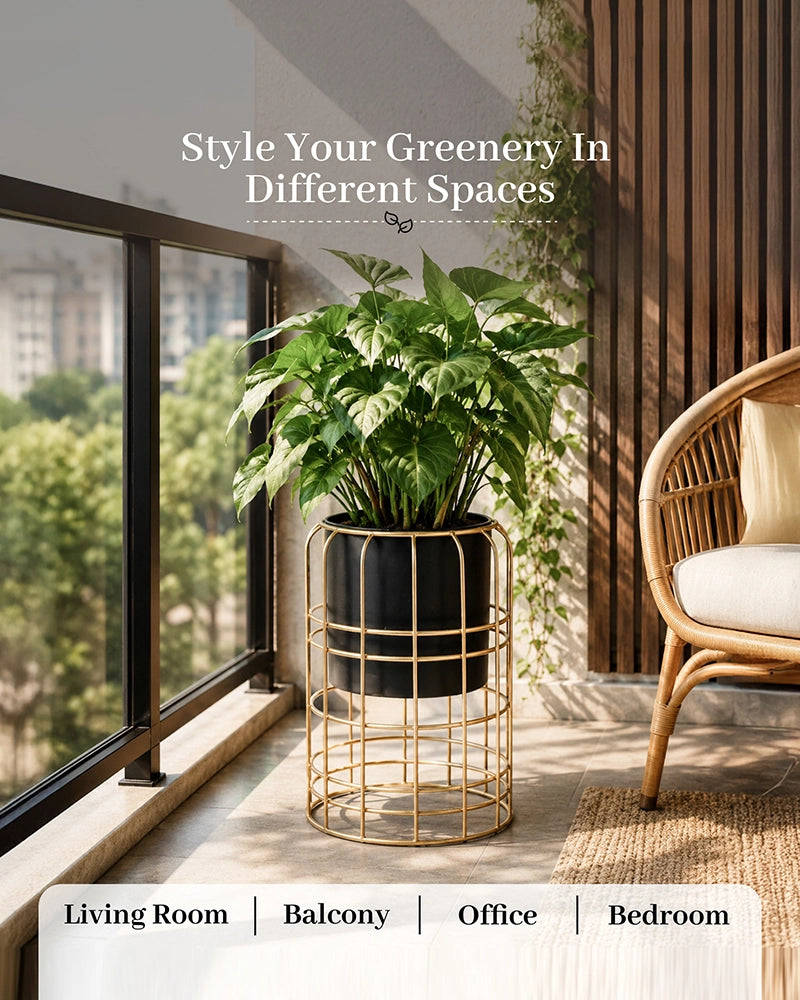 Decorative Metal Plant Pot with Stand for Home & Balcony Garden