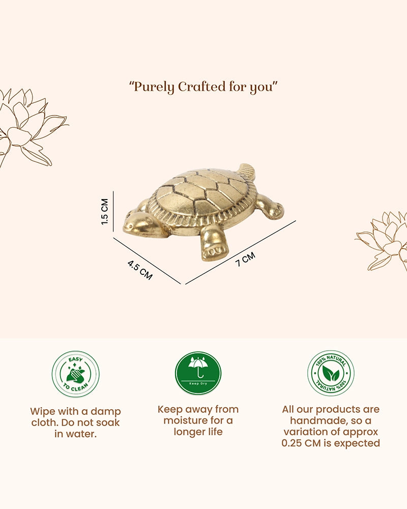 Pure Brass Feng Shui Tortoise for Wealth & Prosperity