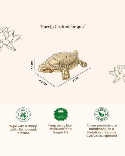 Pure Brass Feng Shui Tortoise for Wealth & Prosperity
