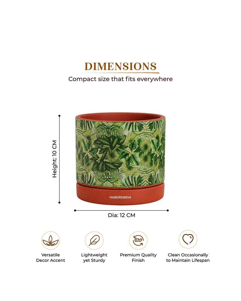 Handcrafted Flower Pot for Garden and Indoor Corners