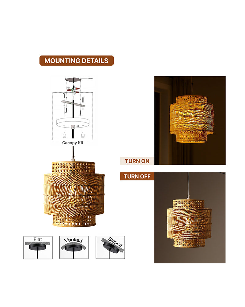 Decorative Ceiling Lamp for Hall and Contemporary Home Decor