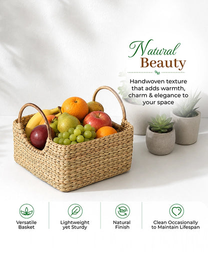 Handcrafted Cane Handle Seagrass Fruit Hamper Basket for Home Storage and Gifting