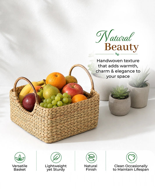 Handcrafted Cane Handle Seagrass Fruit Hamper Basket for Home Storage and Gifting