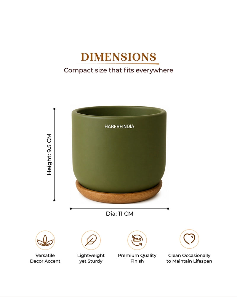 Flower Pot for Garden Use and Indoor Room Styling