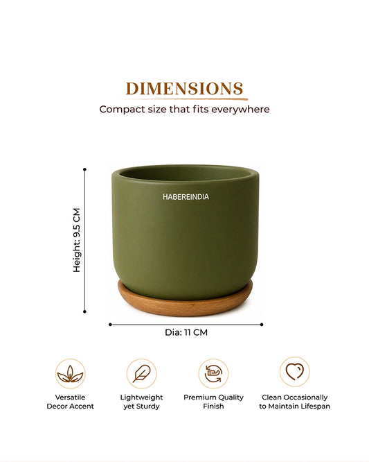 Flower Pot for Garden Use and Indoor Room Styling