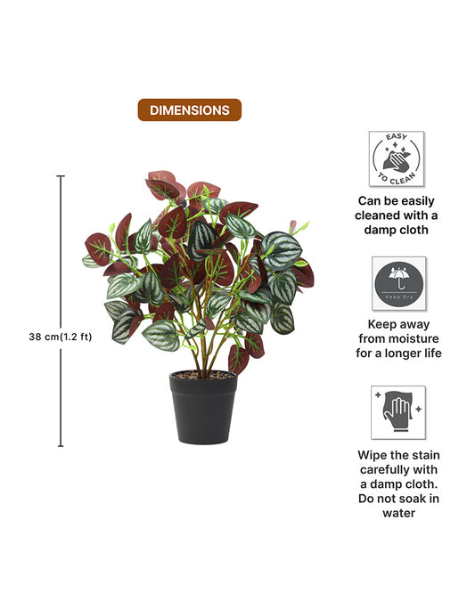 Decorative Artificial Plant with Pot for Living Room and Office Desk Decor