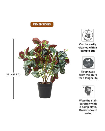 Decorative Artificial Plant with Pot for Living Room and Office Desk Decor