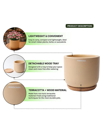 Compact Flower Pot for Living Room Shelf Decor