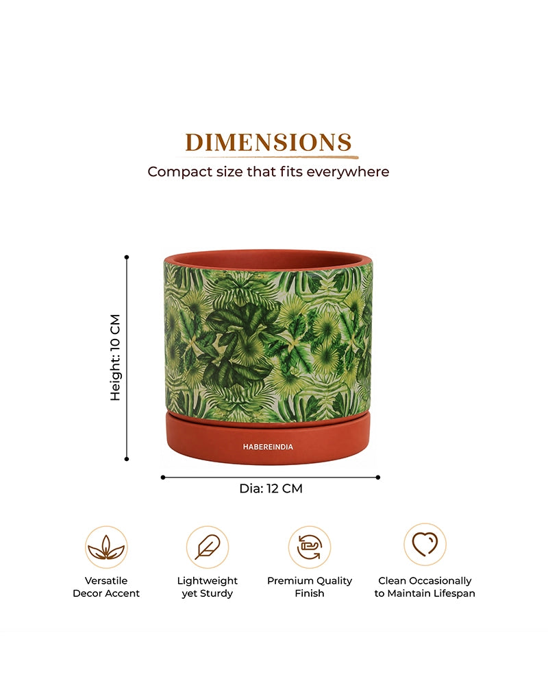 Handcrafted Flower Pot for Garden and Indoor Corners