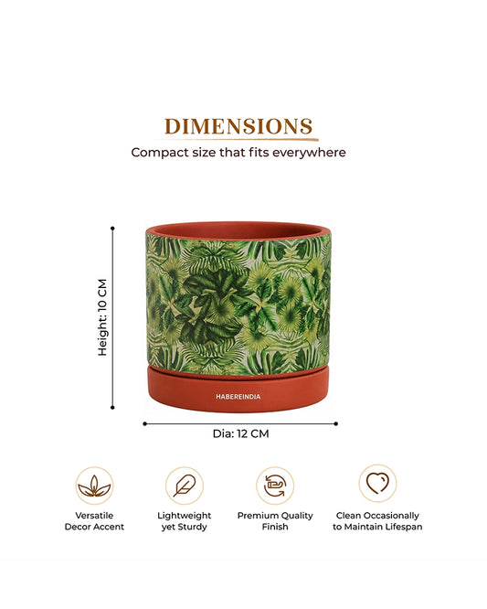 Handcrafted Flower Pot for Garden and Indoor Corners