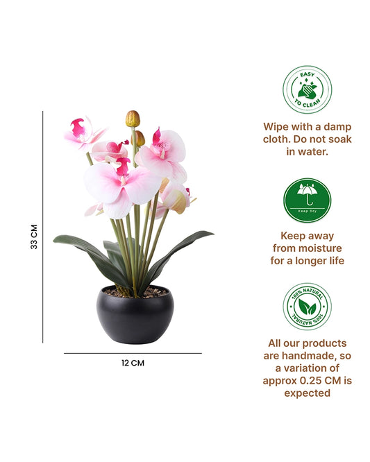 Fake Indoor Flower Plant for Modern Home Decoration