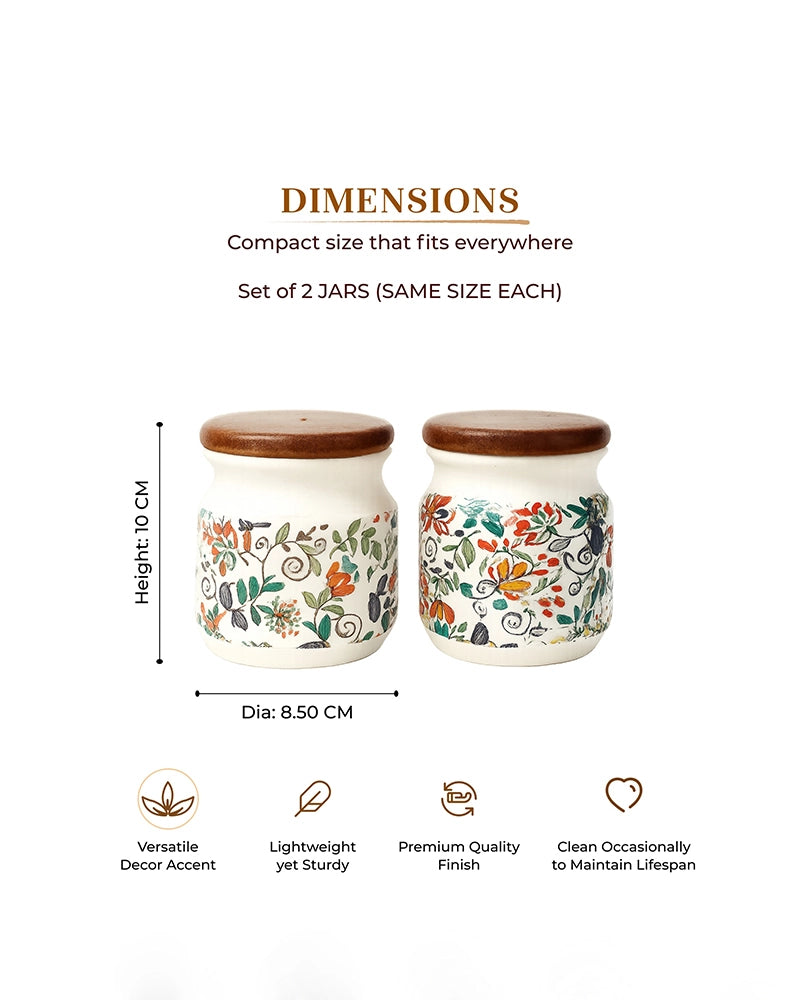 Ceramic Jar for Kitchen Storage with Lid, Set of 2