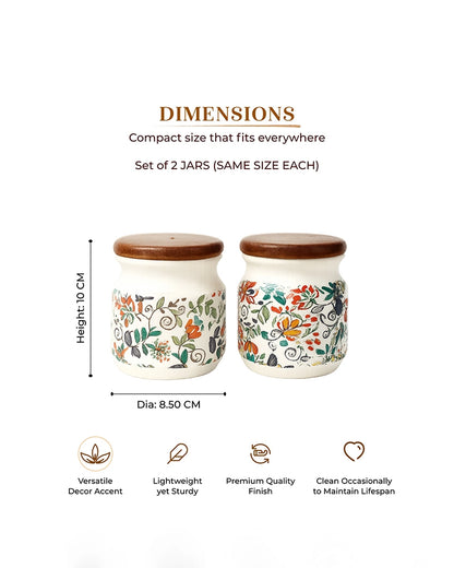 Ceramic Jar for Kitchen Storage with Lid, Set of 2