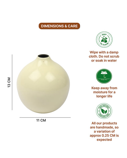 Decorative Metal Vase for Living Room Shelf Console and Table Centerpiece