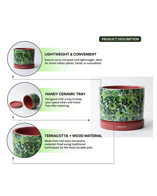 Handcrafted Flower Pot for Garden and Indoor Corners