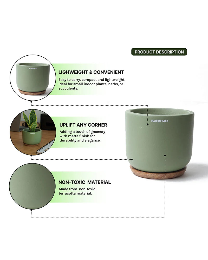 Small Terracotta Pot for Living Room Decoration