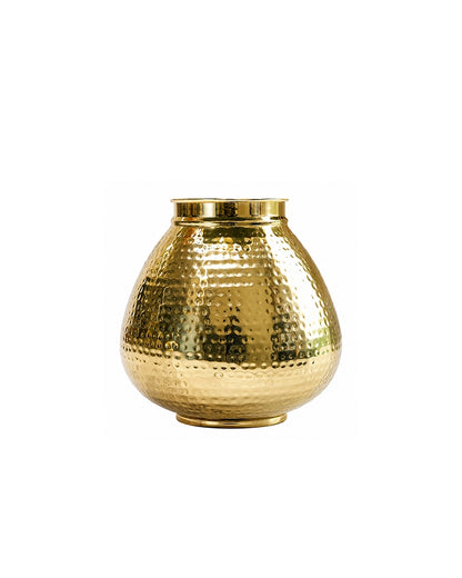 Premium Flower Vase for Living Room, Home Décor & Gifting