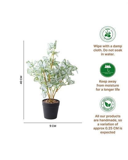 Artificial Green Plant Pot for Living Room and Office Decoration