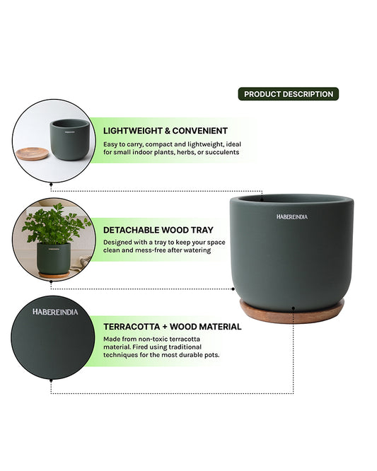 Pot for Plants | Terracotta Flower Pot for Living Room Decoration