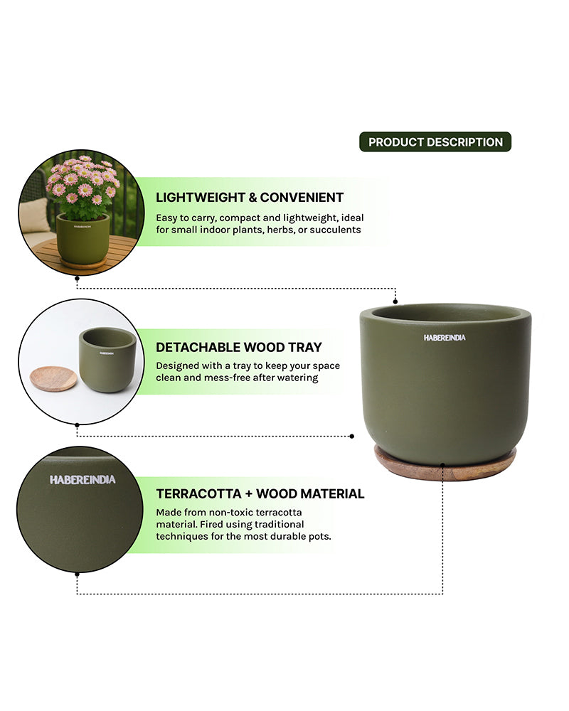 Terracotta Flower Pot For Living Room| Flower Pots for Garden, Dining Table