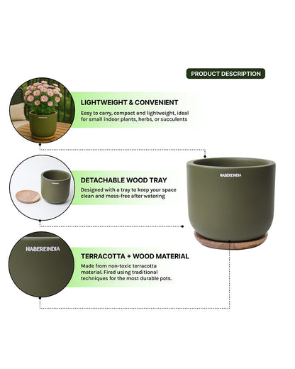 Terracotta Flower Pot For Living Room| Flower Pots for Garden, Dining Table