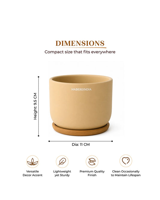 Compact Flower Pot for Living Room Shelf Decor