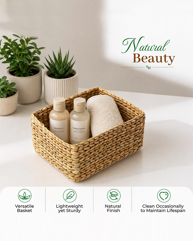 Seagrass Storage Basket and Organizer Tray for Shelf and Wardrobe
