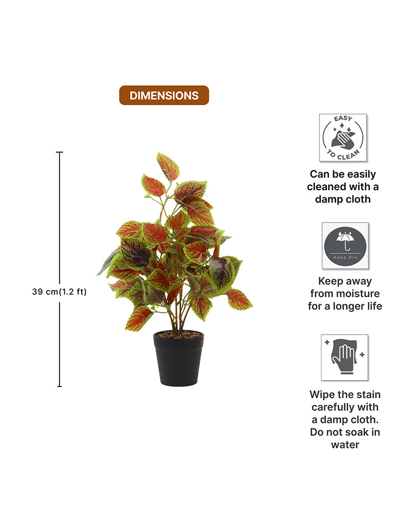 Artificial Plant with Pot for Home Decor and Living Room Decoration