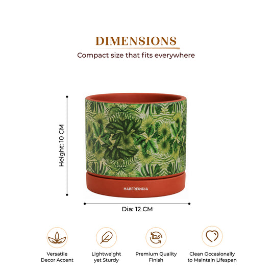 Handcrafted Flower Pot for Garden and Indoor Corners