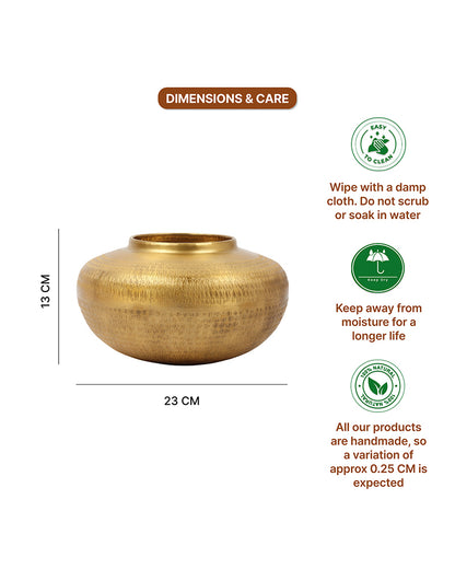 Glossy Metallic Iron Vase for Living Room Tabletop and Home Decor