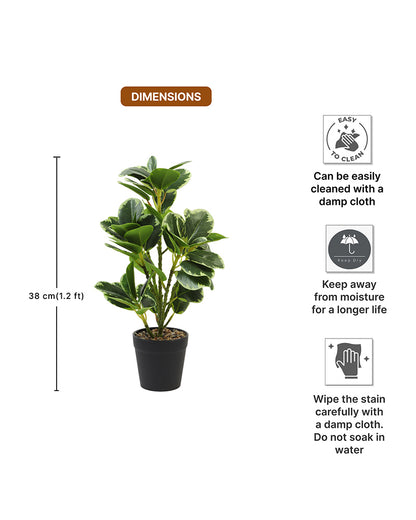 Realistic Artificial Leaves Plant with Pot for Modern Home and Room Decor