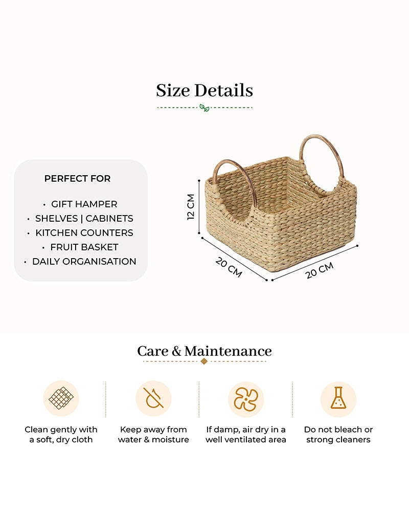 Handcrafted Cane Handle Seagrass Fruit Hamper Basket for Home Storage and Gifting