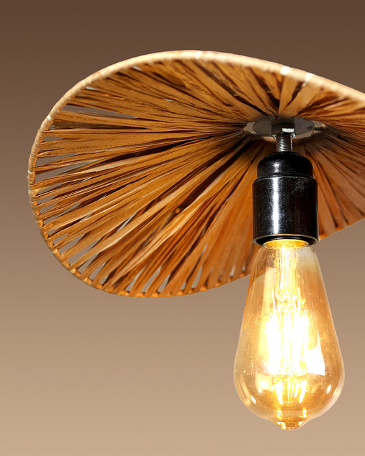 Cane Lamp | Bamboo Pendant Lamp