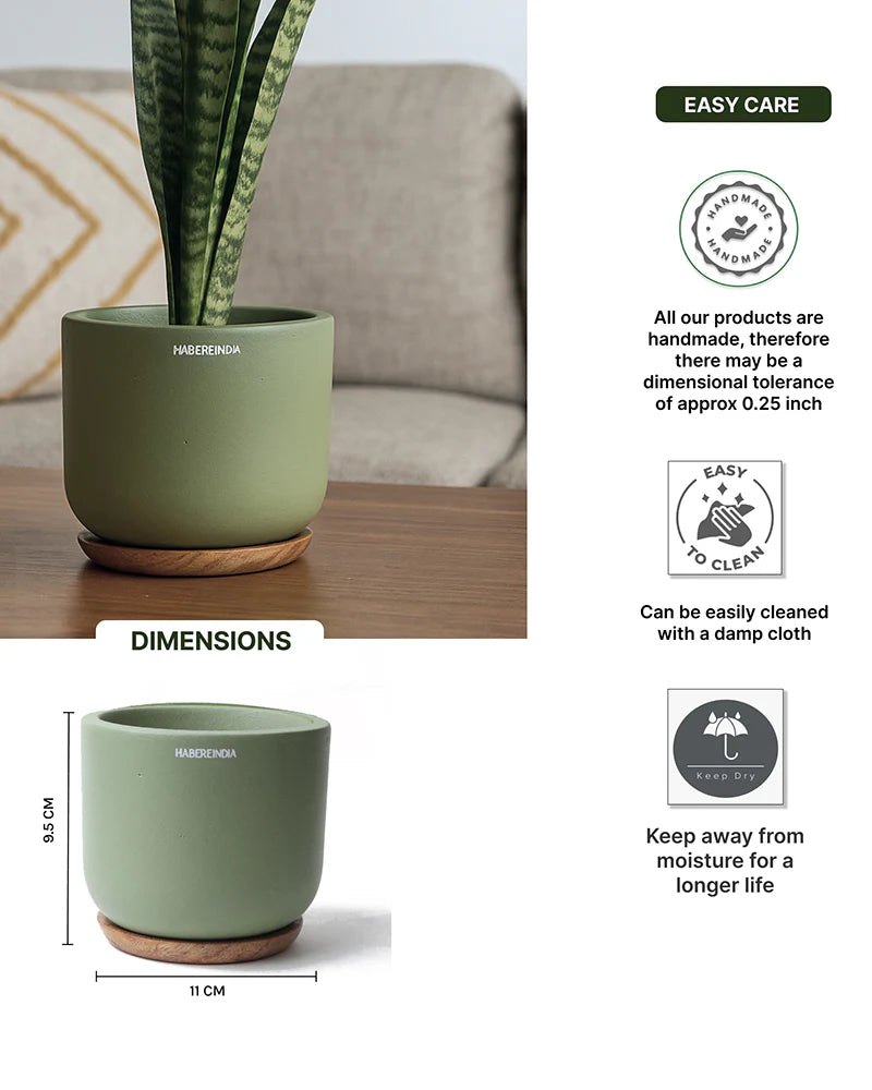 Small Terracotta Pot for Living Room Decoration