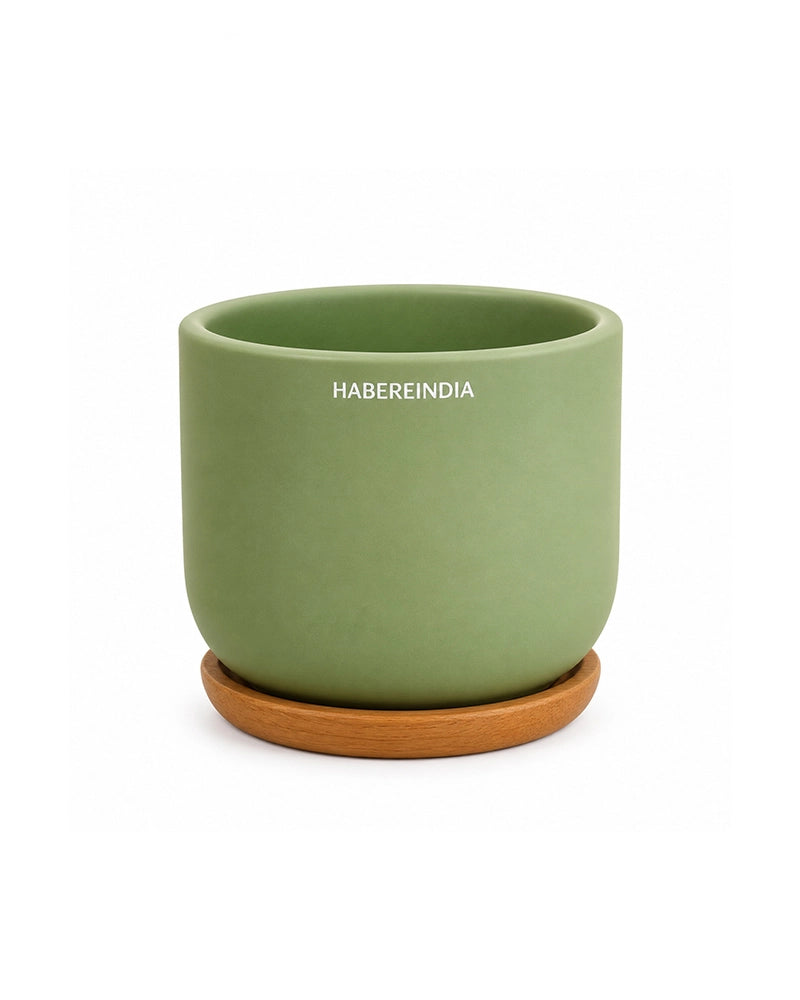 Small Terracotta Pot for Living Room Decoration