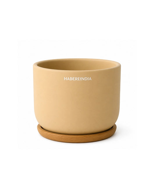 Compact Flower Pot for Living Room Shelf Decor