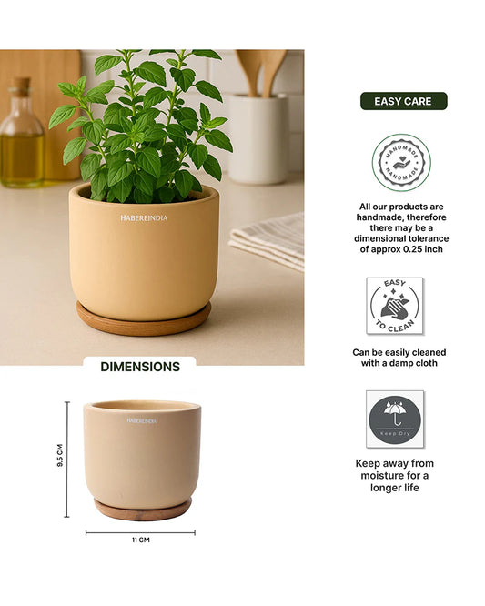 Compact Flower Pot for Living Room Shelf Decor