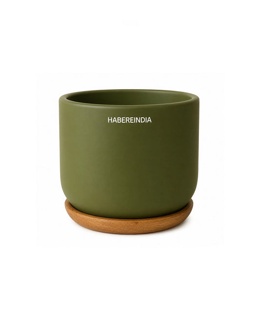 Flower Pot for Garden Use and Indoor Room Styling