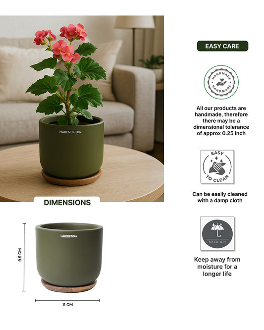 Terracotta Flower Pot For Living Room| Flower Pots for Garden, Dining Table