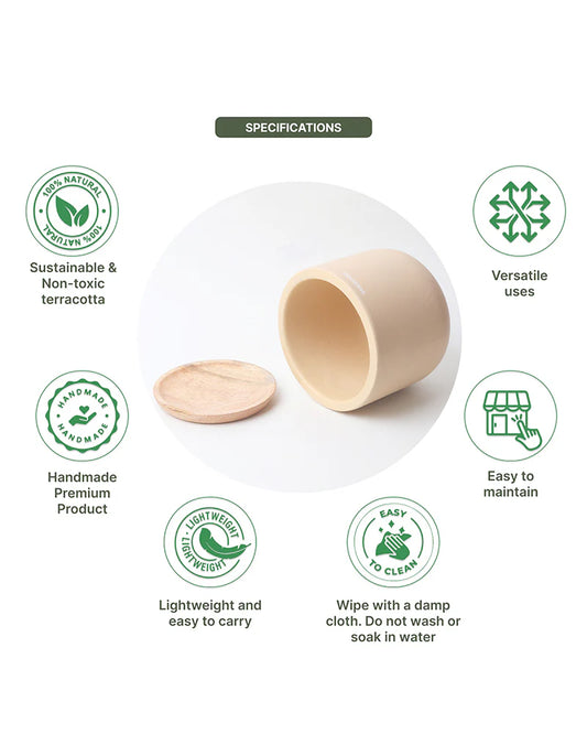 Compact Flower Pot for Living Room Shelf Decor