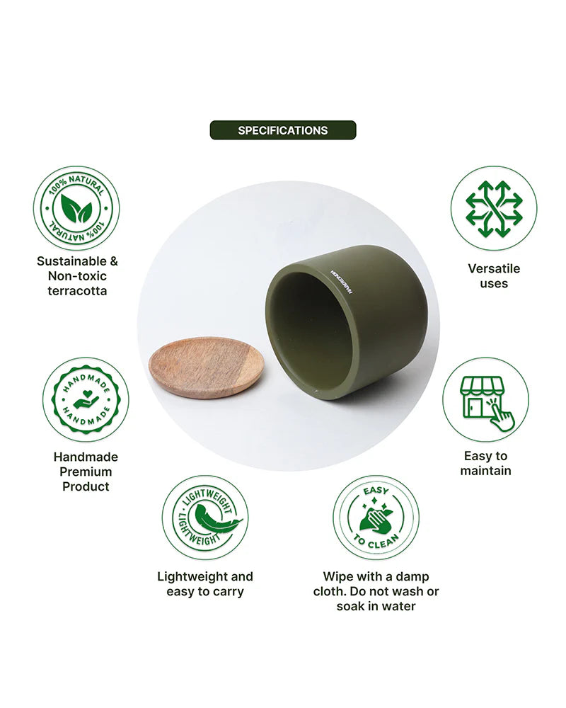 Flower Pot for Garden Use and Indoor Room Styling