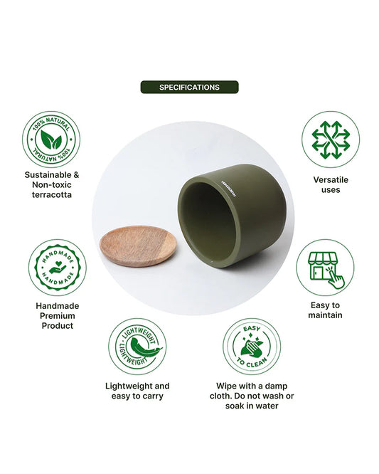 Flower Pot for Garden Use and Indoor Room Styling