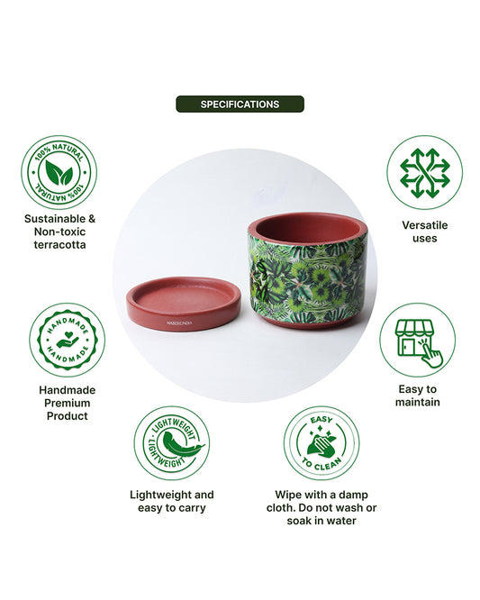 Pot for Plants | Flower Pots for Garden, Dining Table & Home Decor