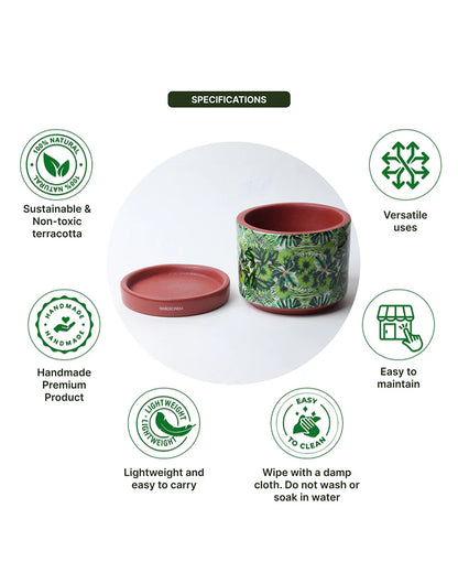 Handcrafted Flower Pot for Garden and Indoor Corners