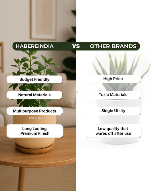 Compact Flower Pot for Living Room Shelf Decor