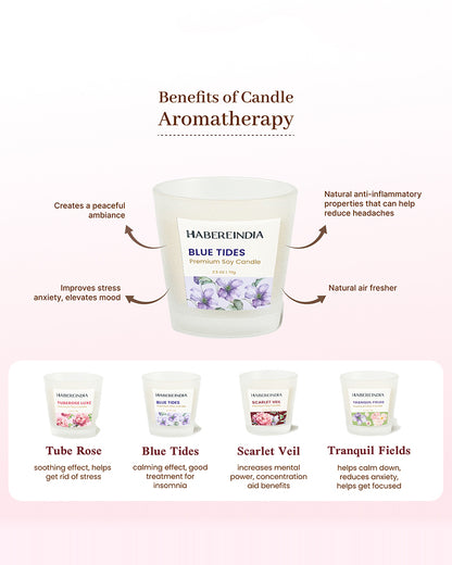 Set of 4 Scented Aroma Candles in Glass | Decorative Fragrance Candle Set | 45gm, 8hr Burn Each