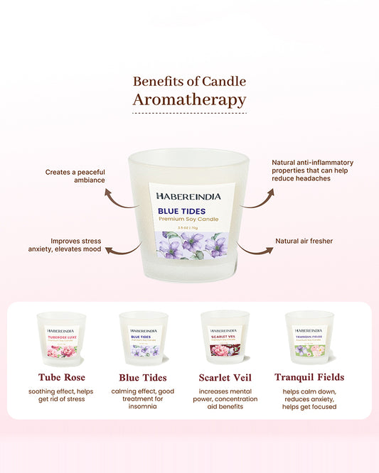 Set of 4 Scented Aroma Candles in Glass | Decorative Fragrance Candle Set | 45gm, 8hr Burn Each