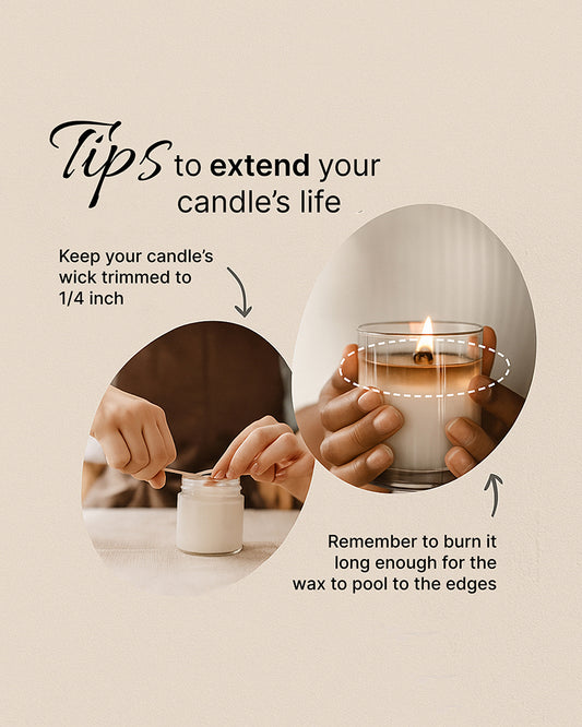 6 Rose Scented Aroma Candles Set | Decorative Tea Light Candles for Gifting | 31gm, 6 Hours Burn