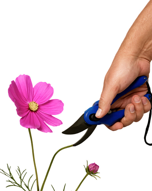 Gardening Tool Pruner | Perfect Pruners for Garden Care