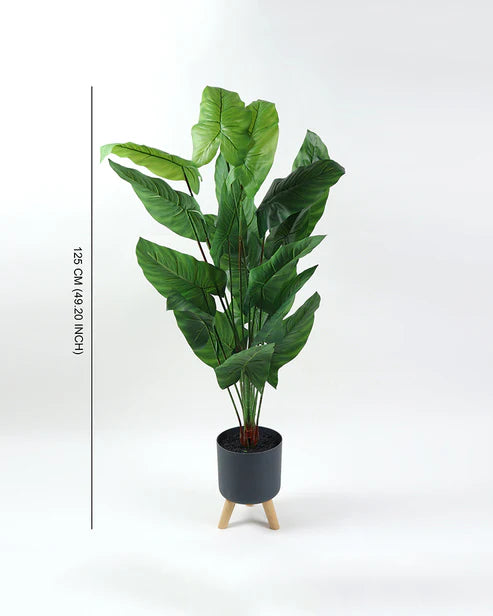 Artificial Plant with Pot for Home Decor and Living Room Decoration